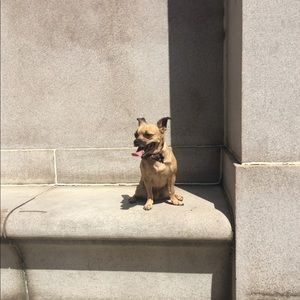 Meet your Posher, Randy